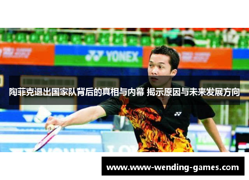 陶菲克退出国家队背后的真相与内幕 揭示原因与未来发展方向 陶菲克退出国家队背后的真相与内幕 揭示原因与未来发展方向